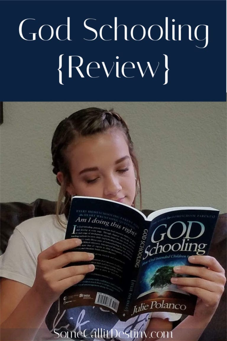 Is God Schooling for You? {A Review}
