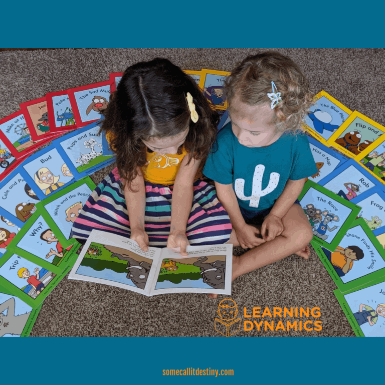 Learning Dynamics: 4 Weeks to Read {Review}