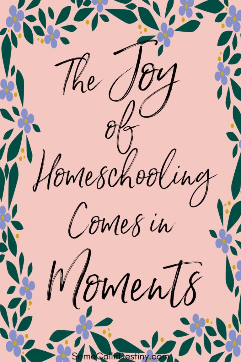 Finding the Joy in Homeschooling