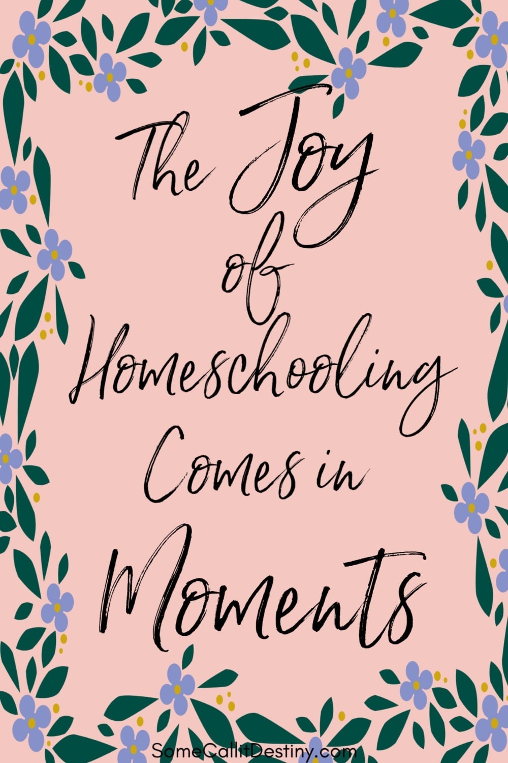 joy in homeschooling