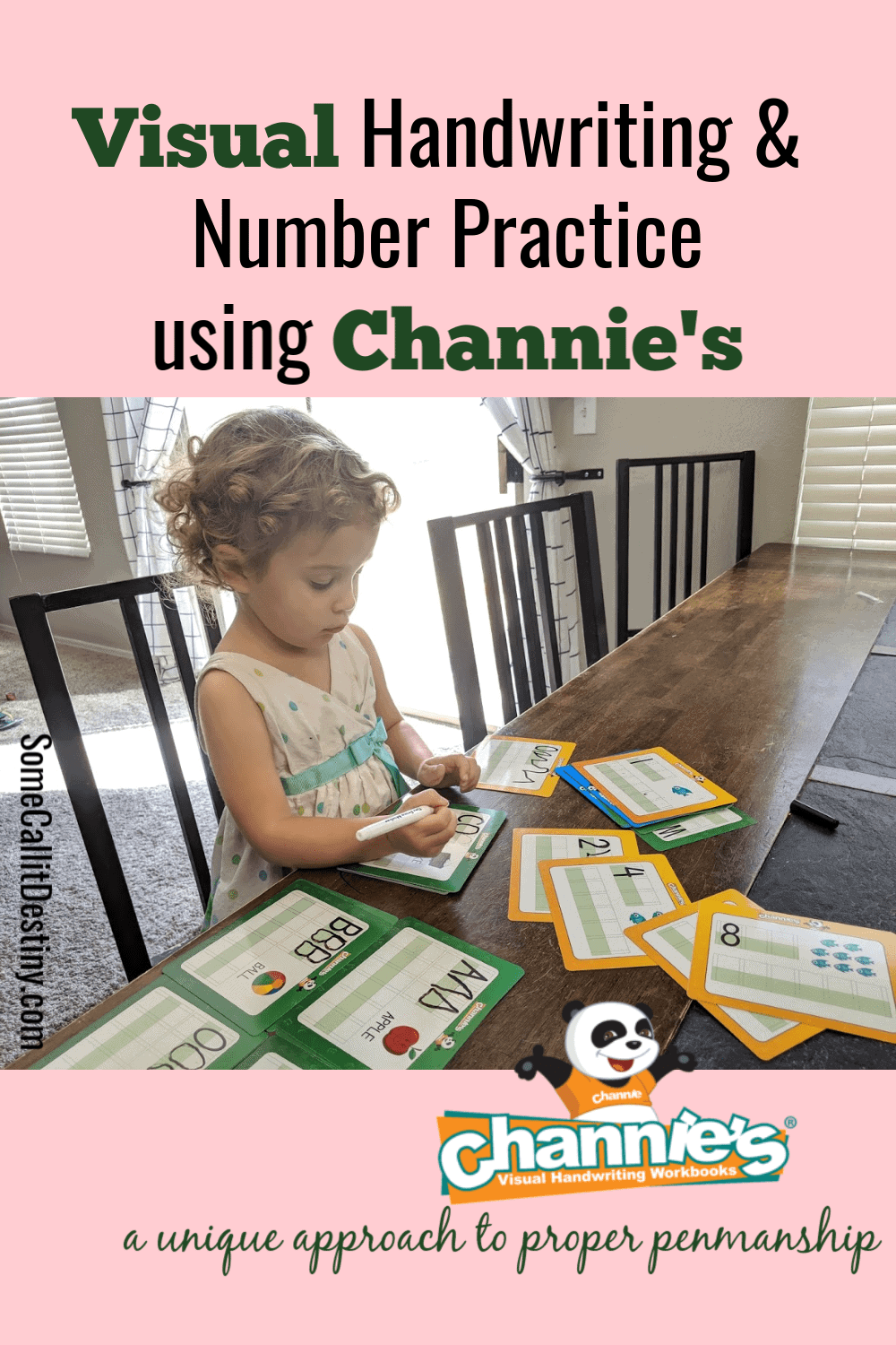 Channie's Visual Handwriting & Math workbooks