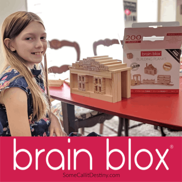 Brain Blox Building Planks- A Simple Favorite Kids Love {Review}