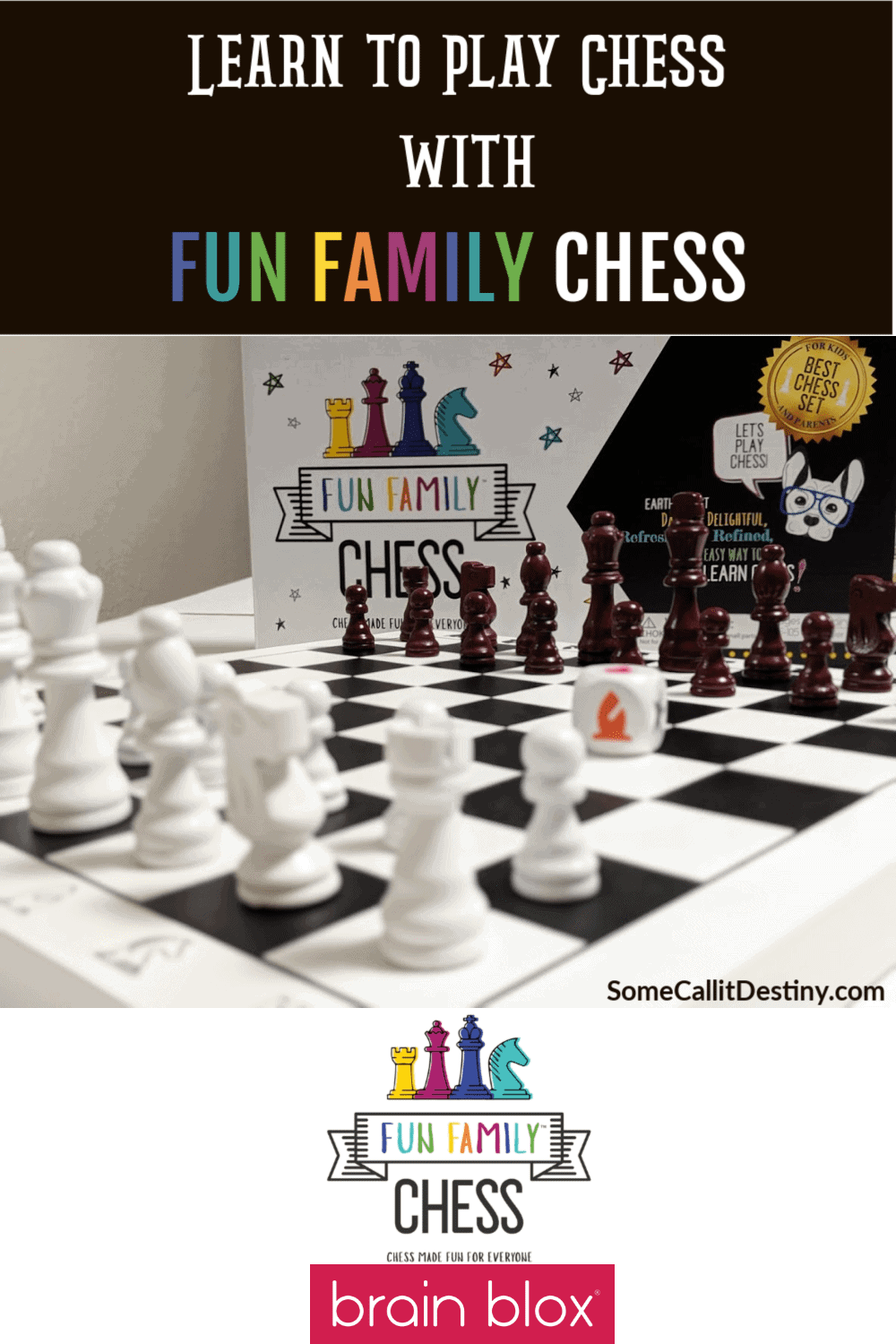 Fun Family Chess A Simple And Easy Way To Learn Chess Review