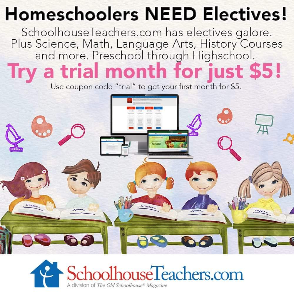 Schoolhouseteachers.com sale