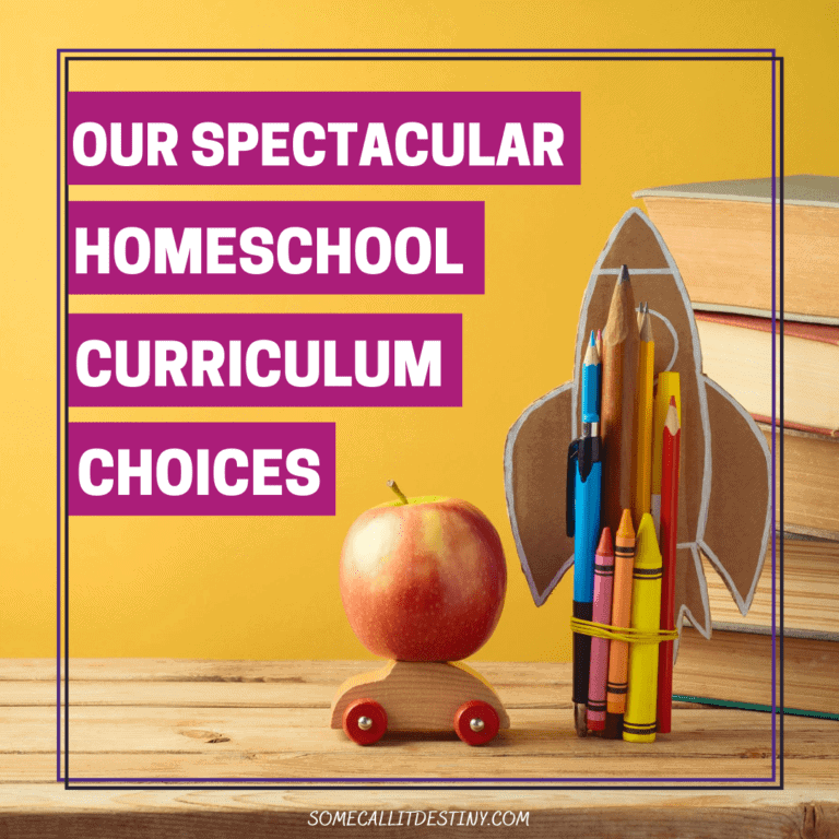 An Exciting Look at Our Spectacular Homeschool Curriculum Choices