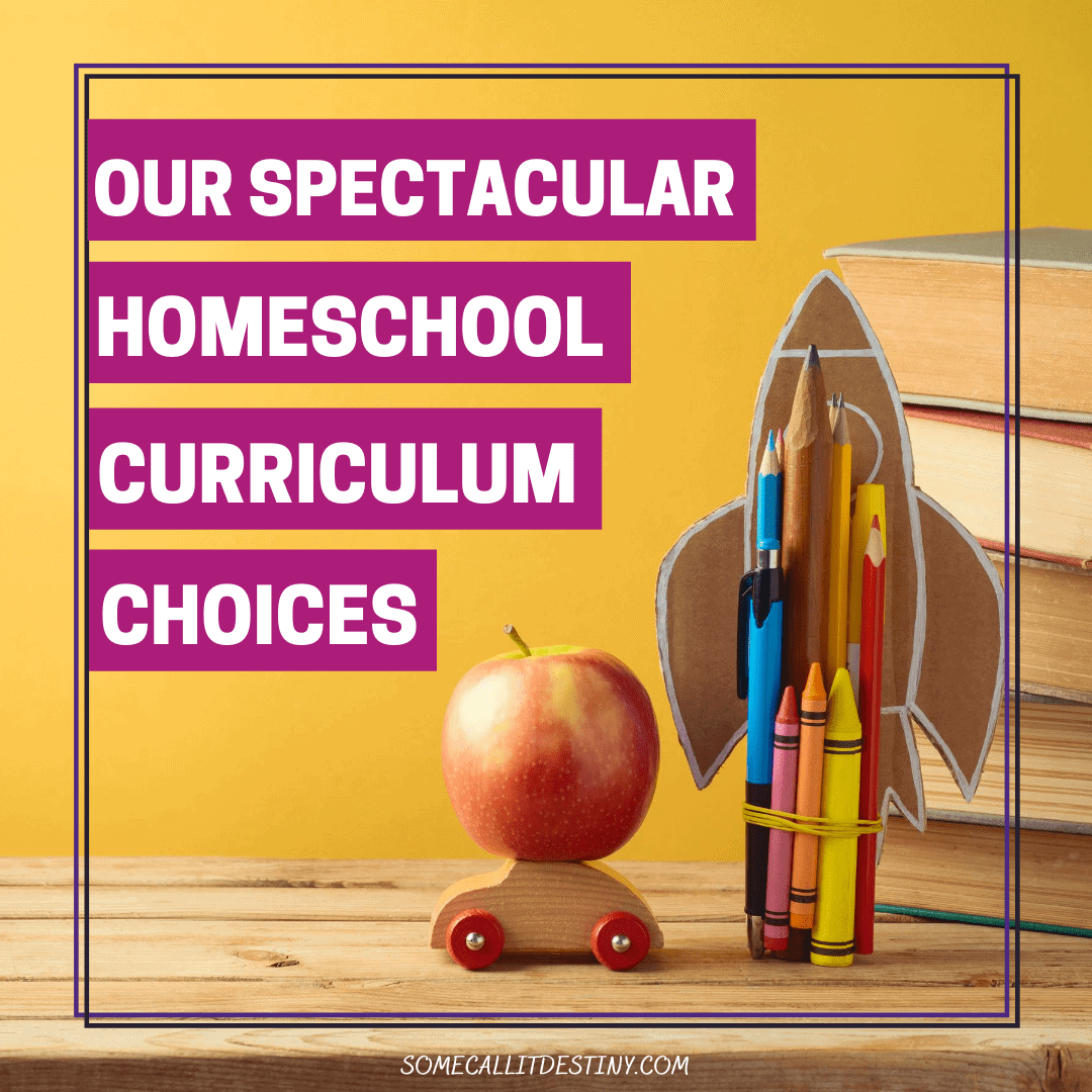 homeschool curriculum choices