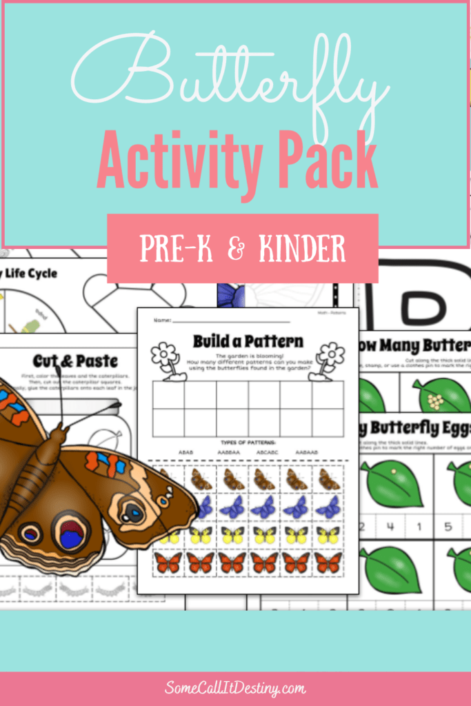 butterfly activity pack