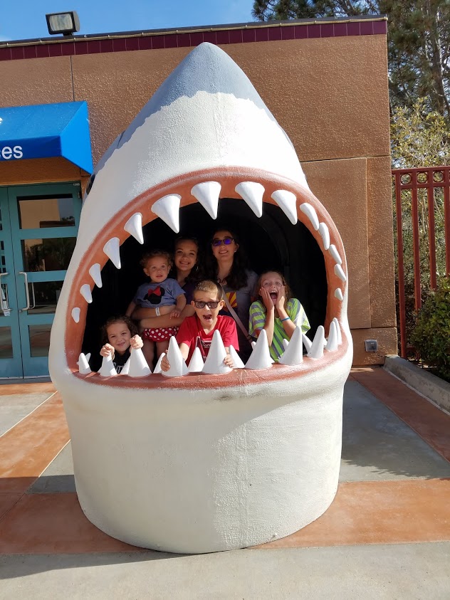 Shred Shark Week with These Fun & Awesome Resources