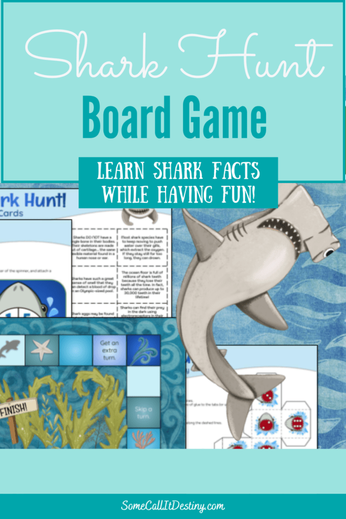 Shark Facts Memory Game: Playing Match Games to Make Learning Fun