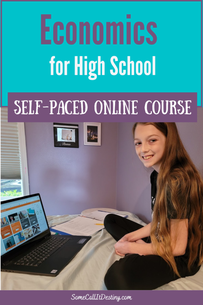 self-paced online high school economics