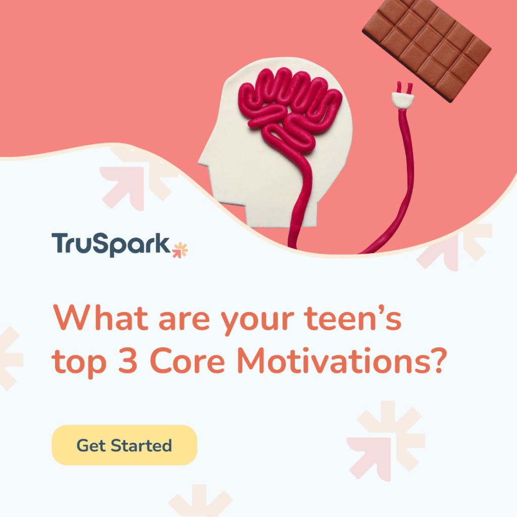 TruSpark core motivations review