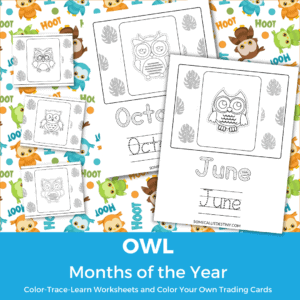 Owl Months of the year worksheets