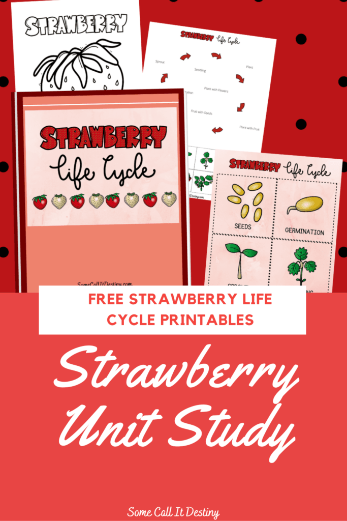 strawberry unit study