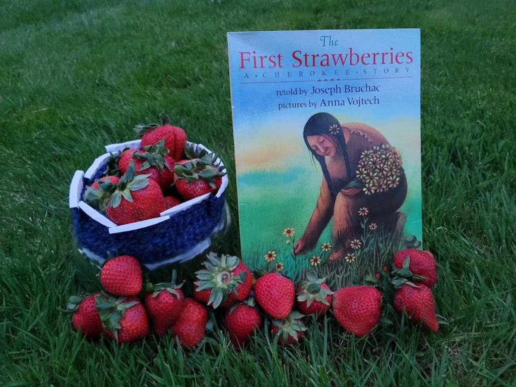 the first strawberries book