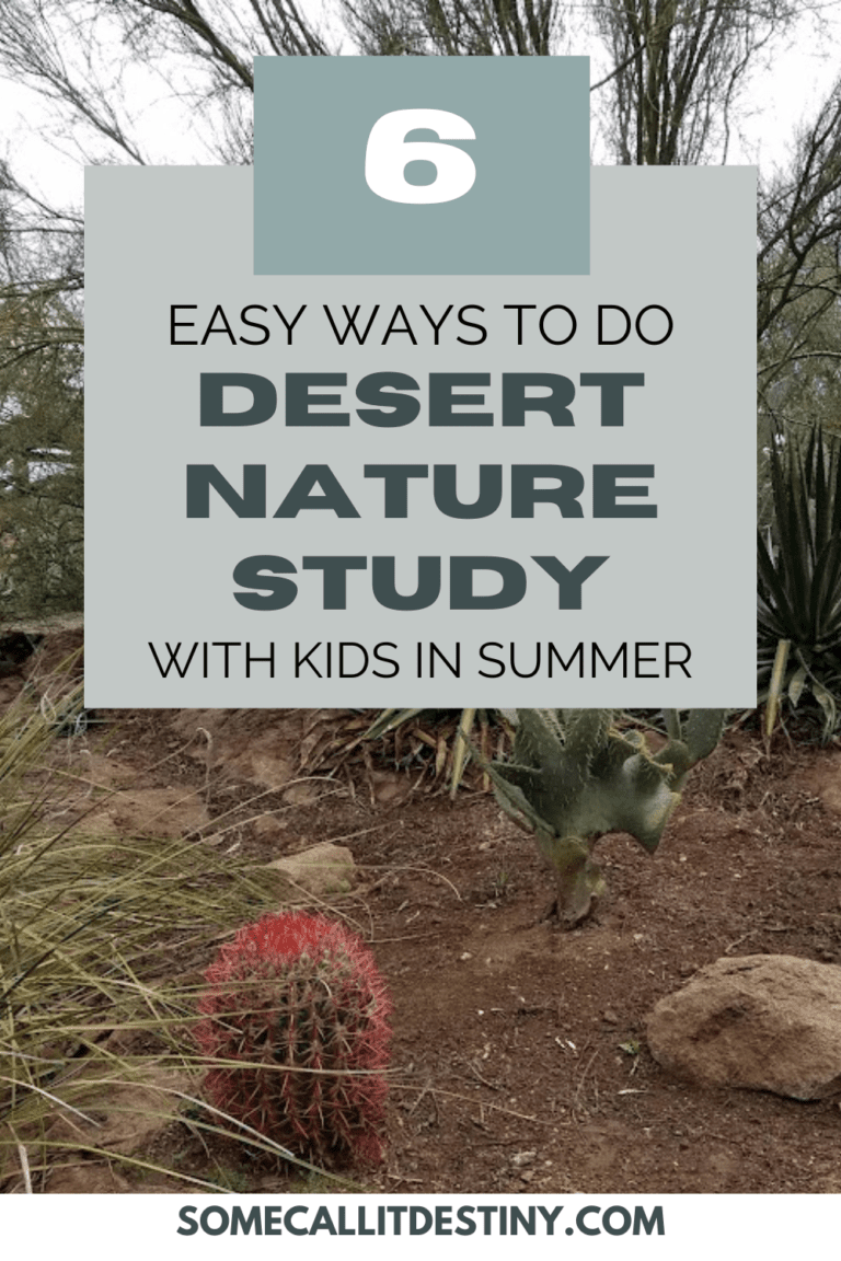 6 Ways to Easily Do Desert Nature Study with Kids in Summer