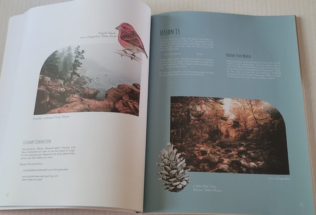picture of lesson 15 in the beautiful feet geography curriculum for kindergarten.  Images of Acadia National Park, purple finch, New Hampshire, and white pine cone. 